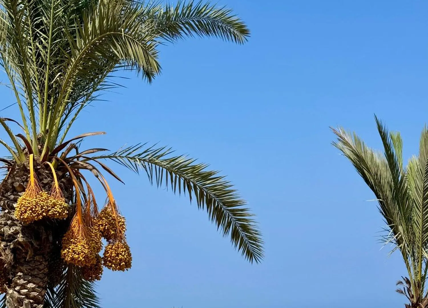 Nissi Si Lux Boho Apartment On Nissi Beach Ayía Nápa Chypre